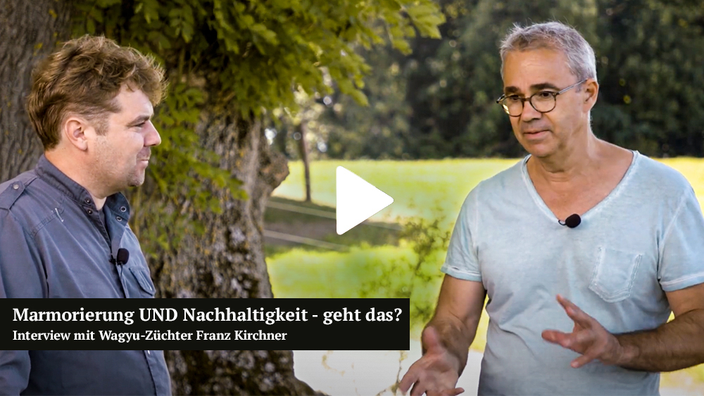 WFB-Home-Vorschaubild-Video-10-22A0Z88CZsOv6DM