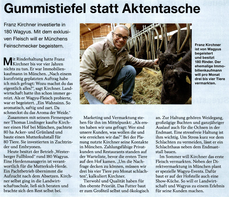presse-gummistiefel-statt-aktentasche