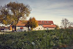 aufzucht_wagyu-rinder