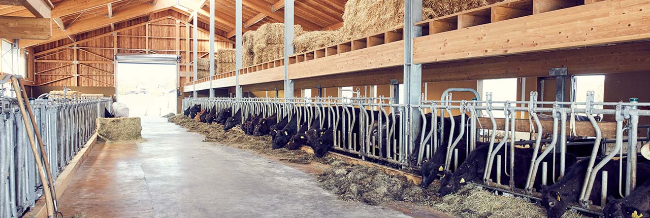 philosophie-1280x430-09-20