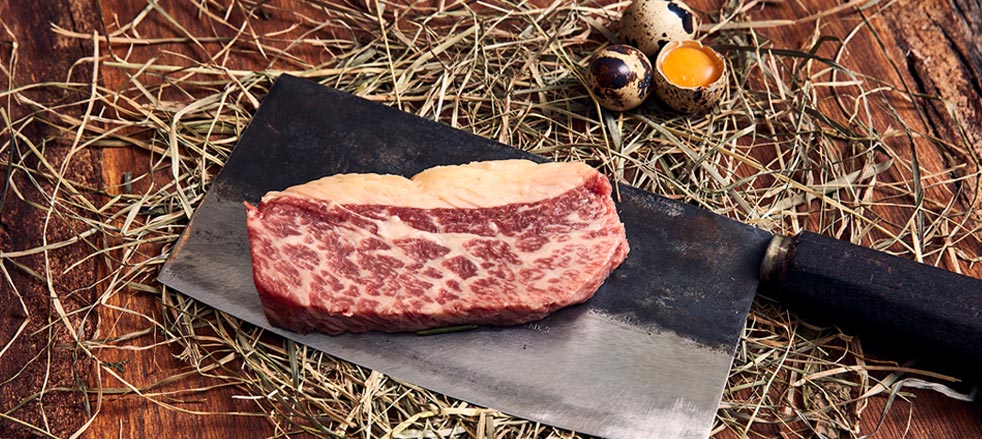 Header-Fleischwissen-982x439